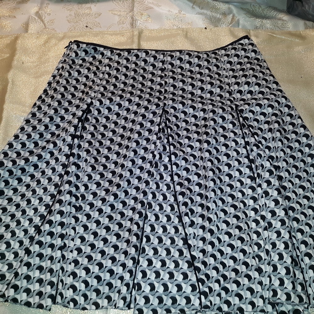 Pleated Skirt